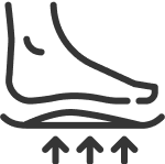 Anatomska podrška